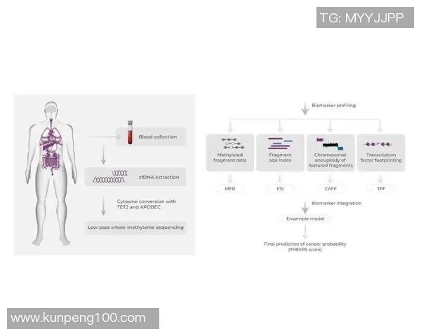 上海篮球队团队协作表现的数据分析与提升策略探讨